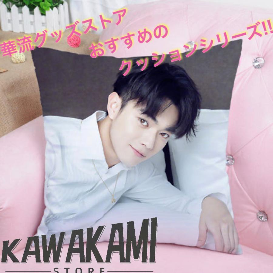中国俳優シューカイ(許凱)のプリントクッション！ : MOIBUNKAYahoo