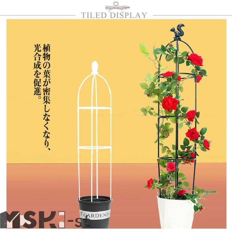 支柱 トレリス 簡易組立式 プラスチック製 バラ つる性植物 つる花