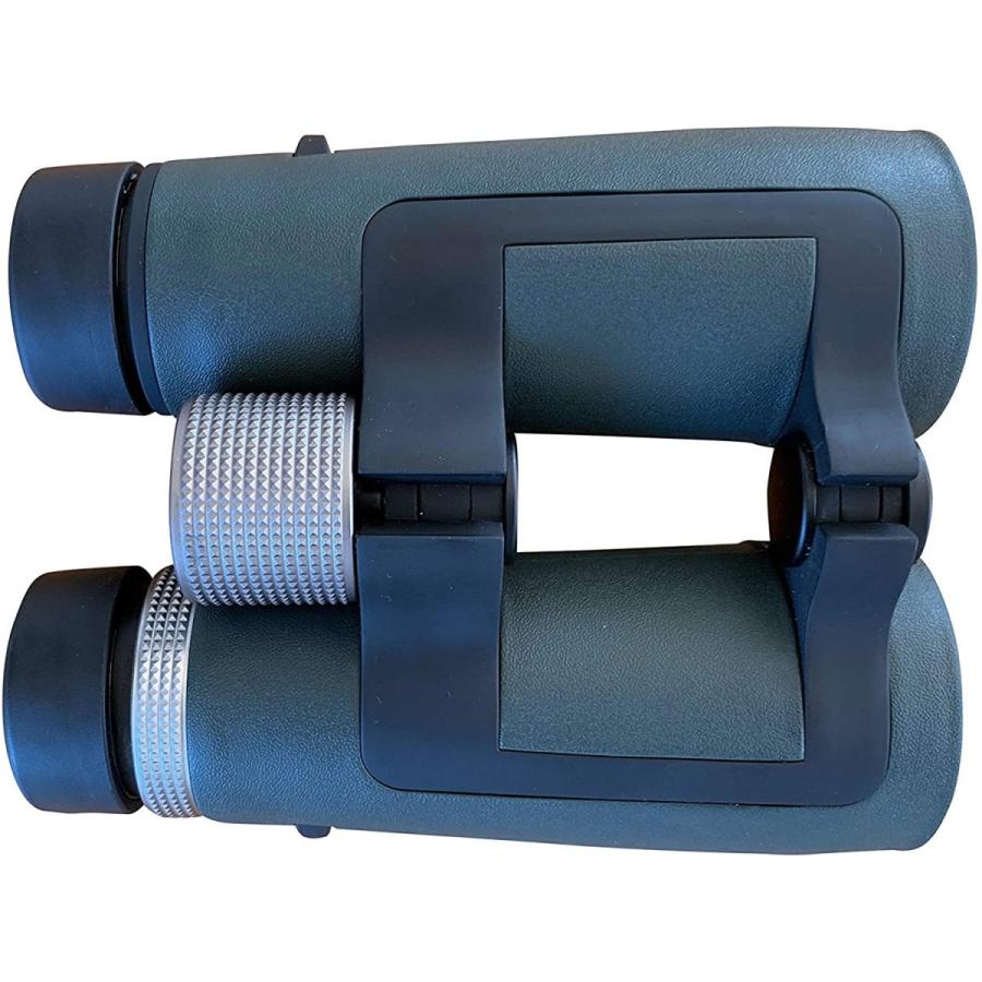 中華のおせち贈り物 防水 シャープで色に合った画像 Edガラス 42 X 10 ワイドフィールド 大人用双眼鏡 コンパクト バードウォッチング スポーツ キャンプ 天文学 双眼鏡 オペラグラス