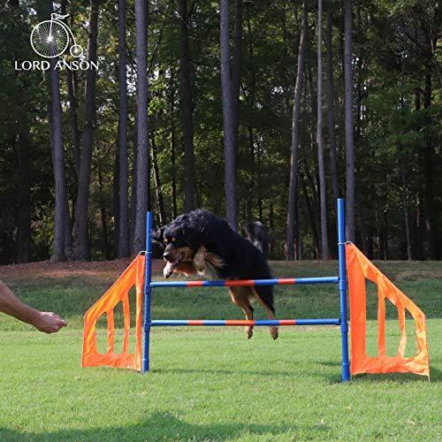 24481円 【全商品オープニング価格 24481円 在庫処分 Lord Anson Dog Agility Jump-Dog Equipment-Competition Grade Adjustable Hurdle 1ジャンプ