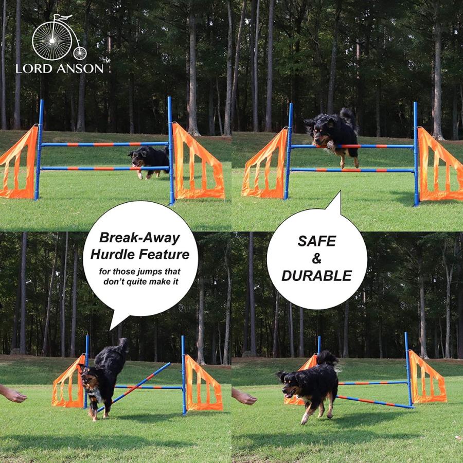 24481円 在庫処分 Lord Anson Dog Agility Jump-Dog Equipment-Competition Grade Adjustable Hurdle 1ジャンプ