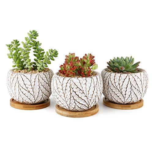 割引販促 T4u 10cm セメント製 植木鉢 おしゃれ プランター 多肉植物鉢 サボテン鉢 竹製受け皿付き 底穴ある 小型植物適用 葉模様 北欧風 3個セット 大人気の商品 Ssl Daikyogo Or Jp
