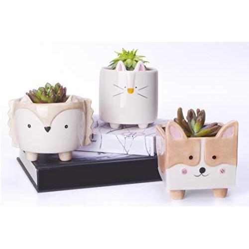 オンラインストア取扱店 Zennd 小さな多肉植物 ポット 3個パック ギフトセット 動物版 排水付き多肉植物 屋内植物 サボテン鉢 植え装飾用 人気 通販 Ssl Daikyogo Or Jp