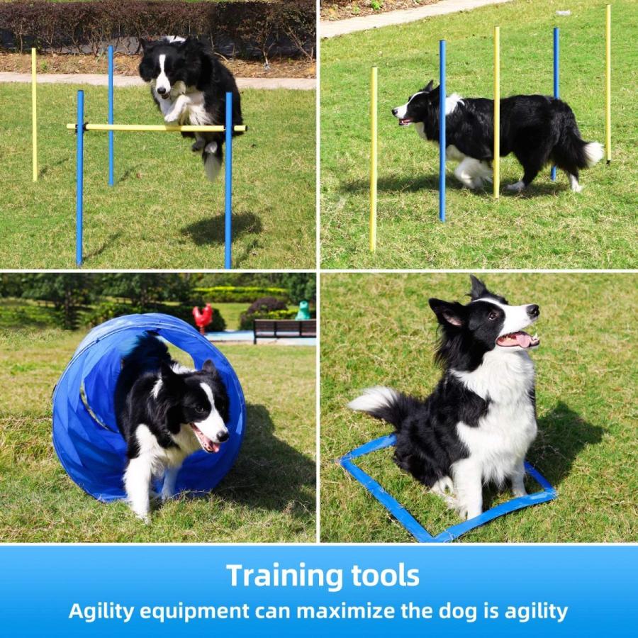 Rosewood 小型犬用 トレーニング器具 ドッグ アジリティ イギリス ローズウッド社製 フープ 引出物