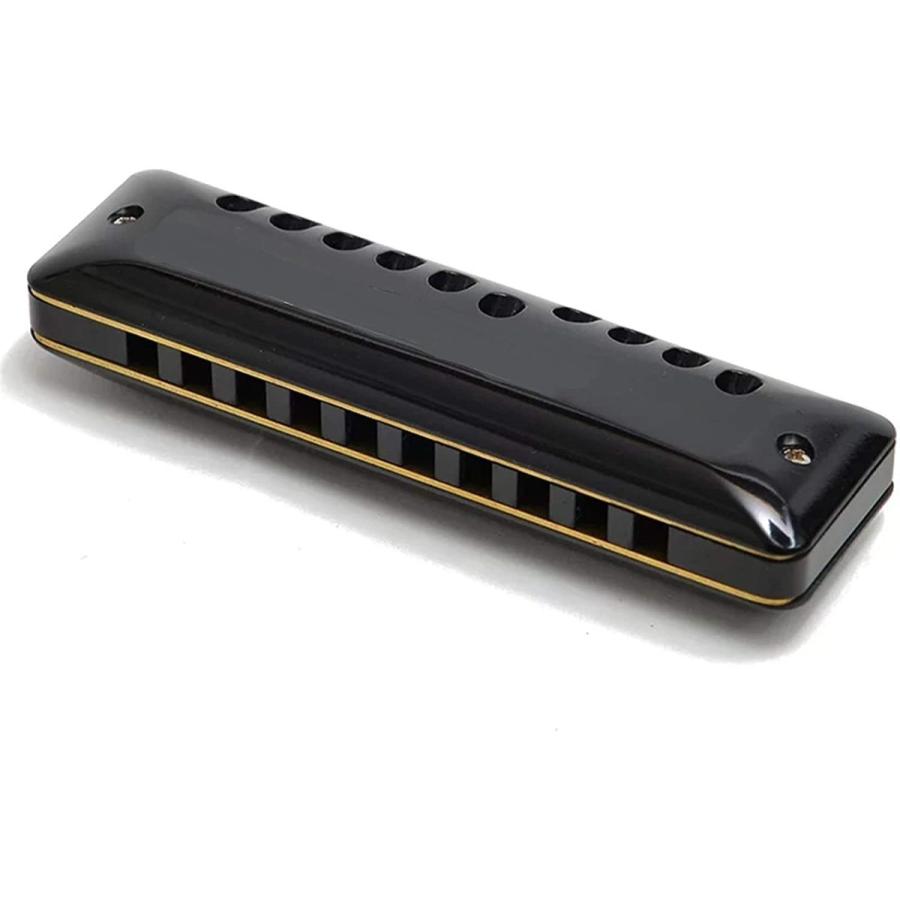 お買い得 Tmp Absくしプロ用楽器 カラー Cのキー Holesブルースハープキーオブc 10 Harmonica 1105クラシックdiatonic ブルースハープ