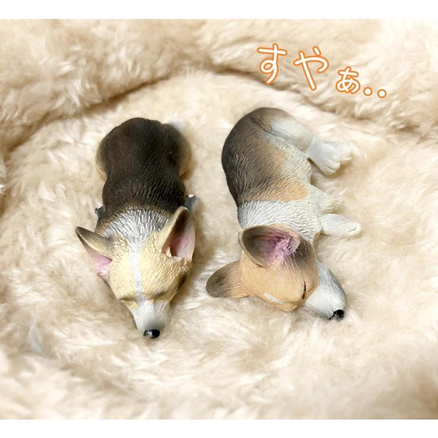 フィギュア マグネット 犬 わんこ ふわふわ ベッド付 ドッグ リアル 本物そっくり 磁石 すやすや コーギー セーブル 2匹 fig004 ドールハウスと雑貨 Moin Moin 通販 Yahoo ショッピング