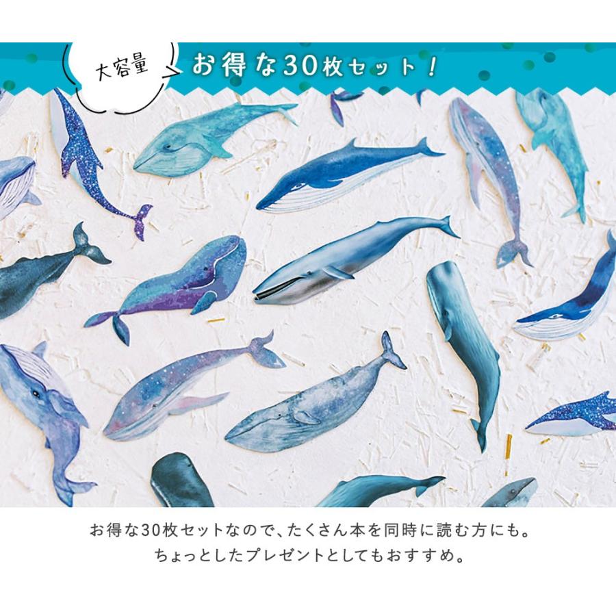 しおり ブックマーク ブックマーカーいるか 鯨 くじら シャチ 幻想的 月 星 水彩 美麗 メッセージカードとしても 30枚セット パターンb 1909sor38 ドールハウスと雑貨 Moin Moin 通販 Yahoo ショッピング