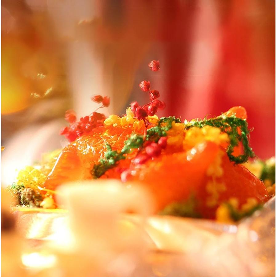 ドールハウス ミニチュア 手作りキット DIY | クリスマス ビニールハウス カフェ | 中型 1/24 | LEDライト+ケース +フィギュア |  | 08