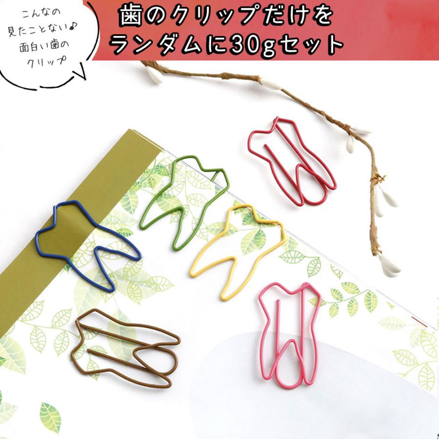 歯 クリップ30g 30 40個 セット 歯牙 モチーフ しおり ゼムクリップ 可愛い アソート カラフル ケース入 大容量 歯医者 歯科 キバ 2107clp3 ドールハウスと雑貨 Moin Moin 通販 Yahoo ショッピング