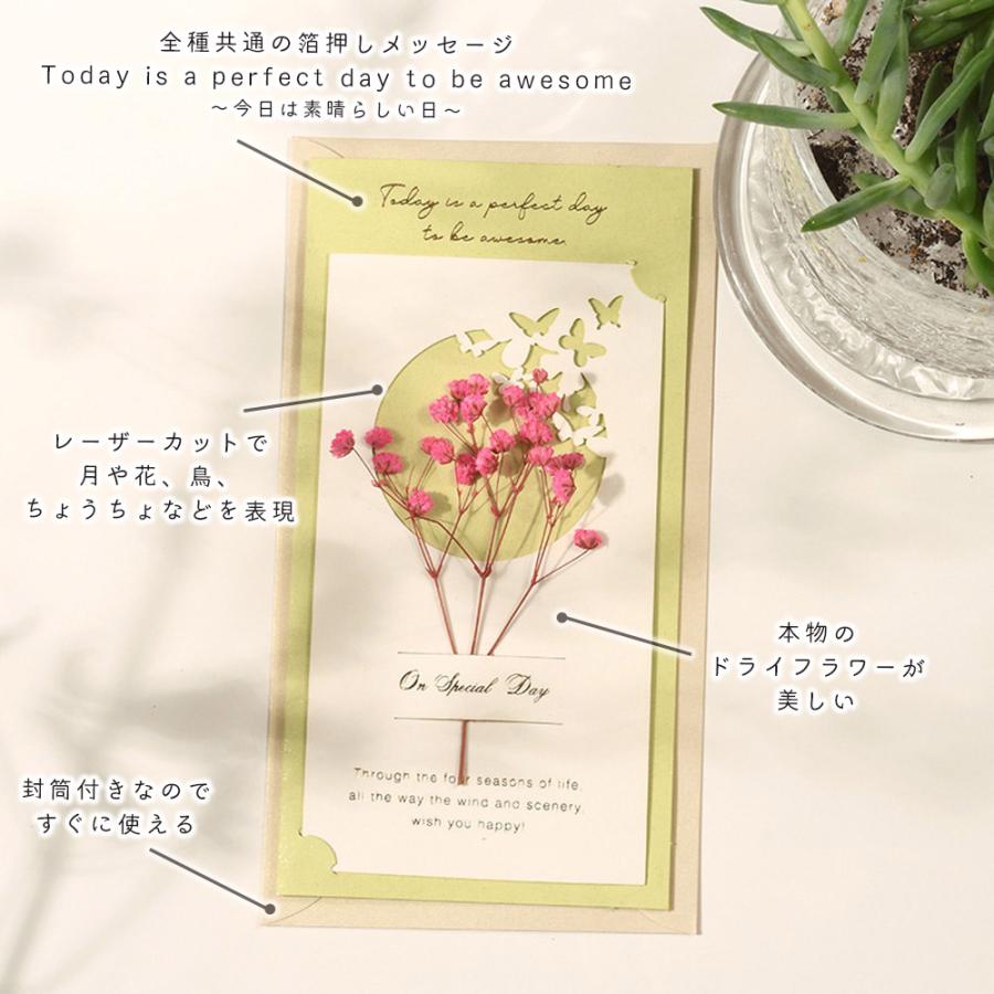 MY mama お花 の アソートセット 12種 □ ドライフラワー