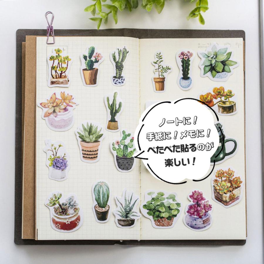 Watercolour plant sticker set featuring succulents, cacti and potted greenery for planners and journals