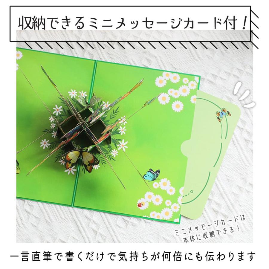 グリーディング ちょうちょ 蝶 幻想的 バタフライ 楽園 ファンタジー