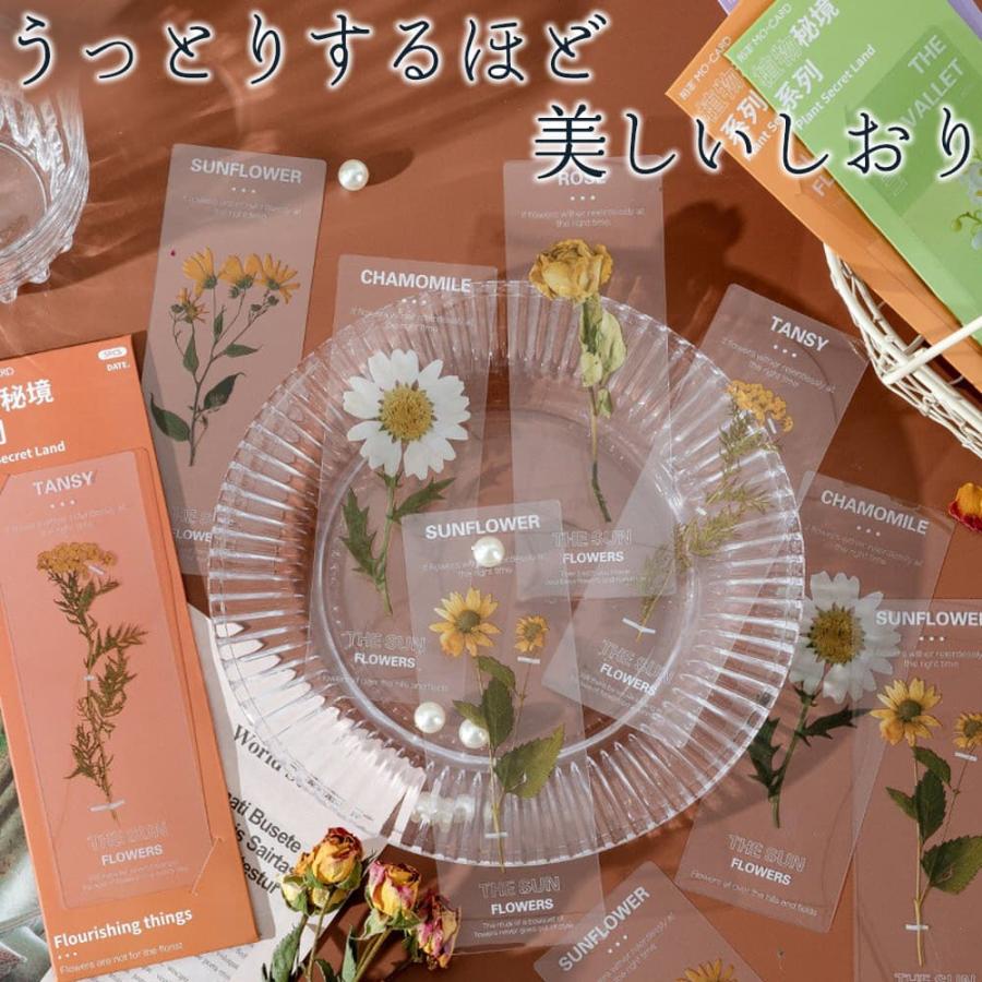 しおり ブックマーク30枚セット 押し花 透明 クリア 防水 英字 おしゃれ 花 フラワー 美麗 ひまわり グリーン 鈴蘭 チューリップ バラ パープル イエロー |  | 12
