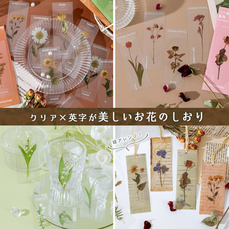 しおり ブックマーク30枚セット 押し花 透明 クリア 防水 英字 おしゃれ 花 フラワー 美麗 ひまわり グリーン 鈴蘭 チューリップ バラ パープル イエロー |  | 01