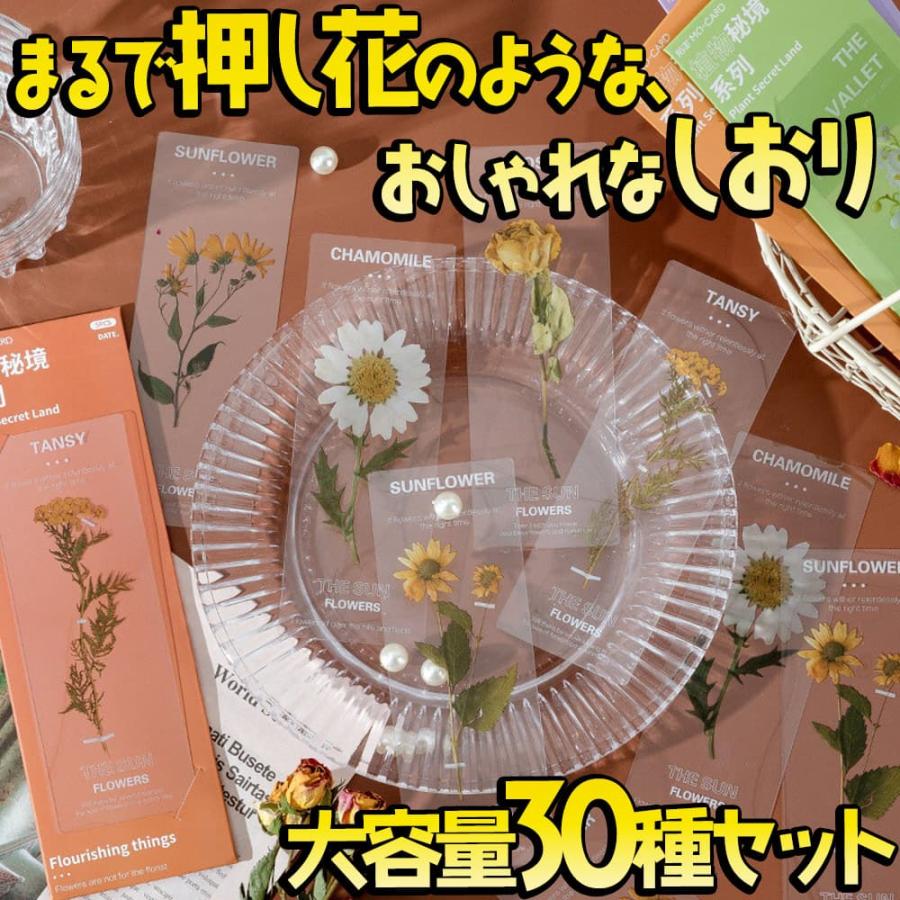 花しおり1,2 セット IU 花しおり: Special Remake Mini Album＜限定盤＞/IU