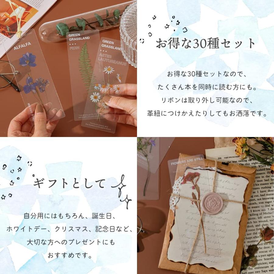 しおり ブックマーク30枚セット 押し花 透明 クリア 防水 英字 おしゃれ 花 フラワー 美麗 ひまわり グリーン 鈴蘭 チューリップ バラ パープル イエロー |  | 04