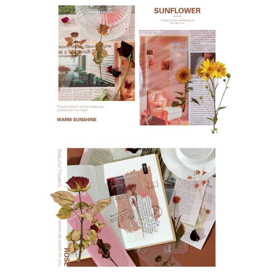 しおり ブックマーク30枚セット 押し花 透明 クリア 防水 英字 おしゃれ 花 フラワー 美麗 ひまわり グリーン 鈴蘭 チューリップ バラ パープル イエロー |  | 05