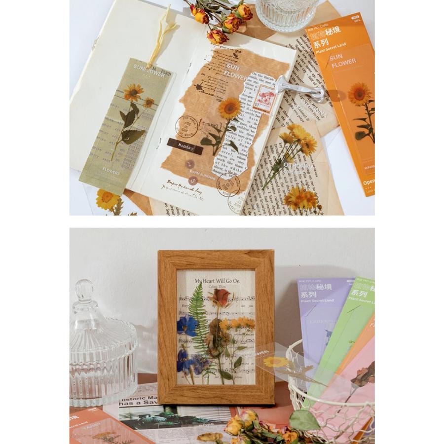しおり ブックマーク30枚セット 押し花 透明 クリア 防水 英字 おしゃれ 花 フラワー 美麗 ひまわり グリーン 鈴蘭 チューリップ バラ パープル イエロー |  | 06