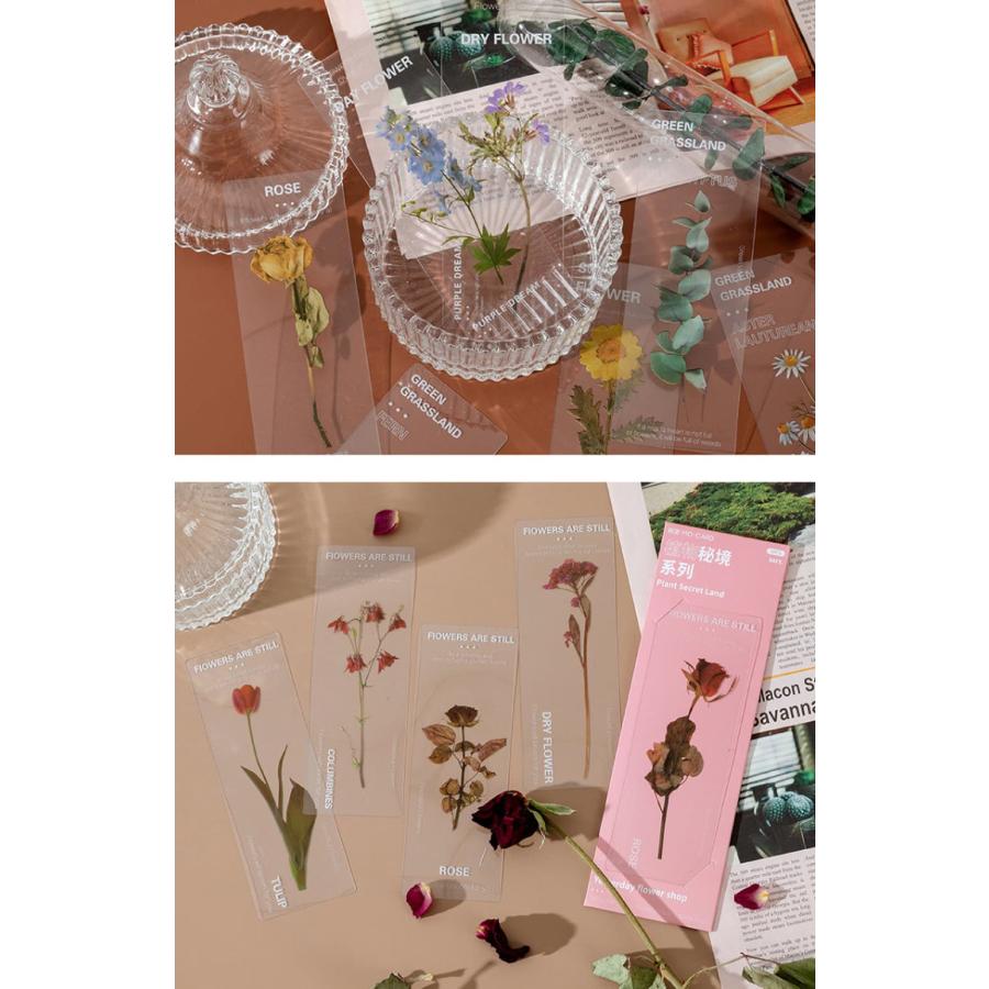 しおり ブックマーク30枚セット 押し花 透明 クリア 防水 英字 おしゃれ 花 フラワー 美麗 ひまわり グリーン 鈴蘭 チューリップ バラ パープル イエロー |  | 07