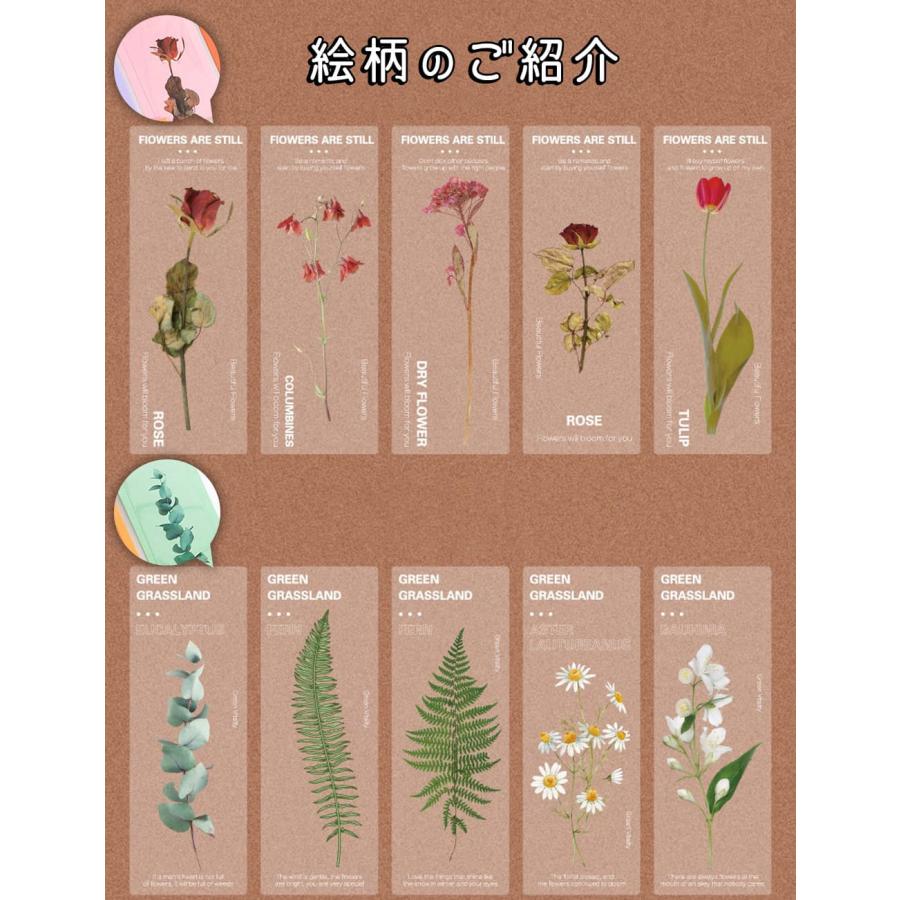 しおり ブックマーク30枚セット 押し花 透明 クリア 防水 英字 おしゃれ 花 フラワー 美麗 ひまわり グリーン 鈴蘭 チューリップ バラ パープル イエロー |  | 08