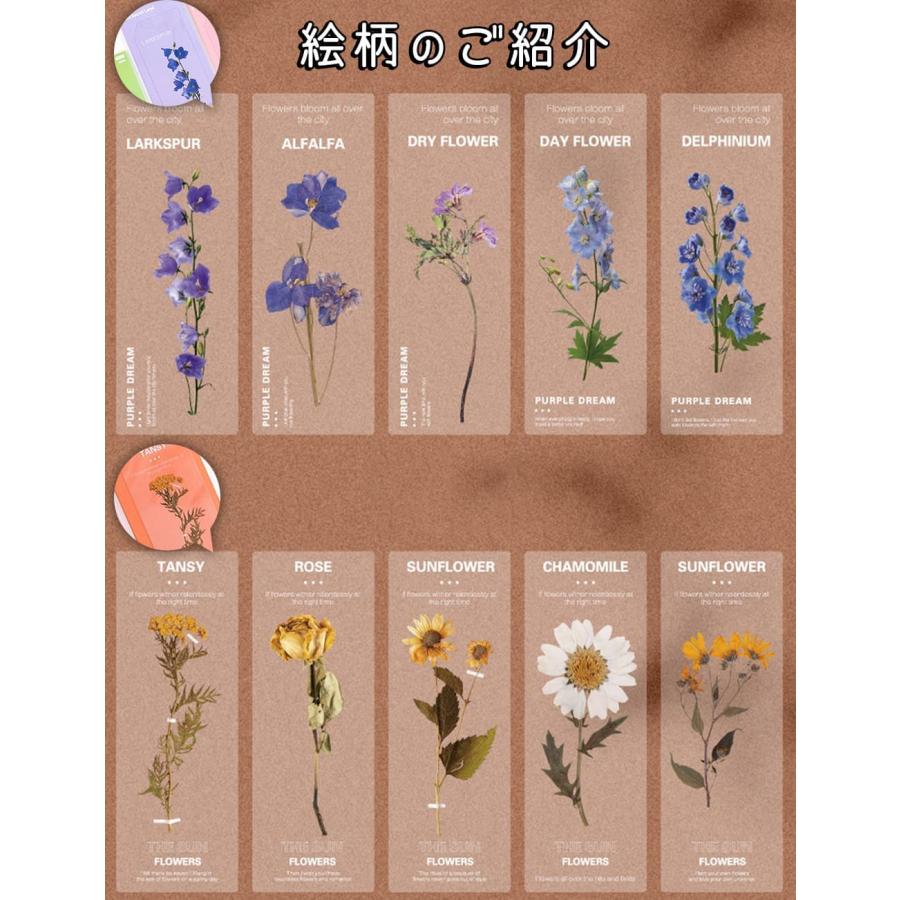 あの花　クリアブックマーク　栞　めんま　他 Amazon.co.jp: あの花めんまクリアブックマーク(しおり) : おもちゃ