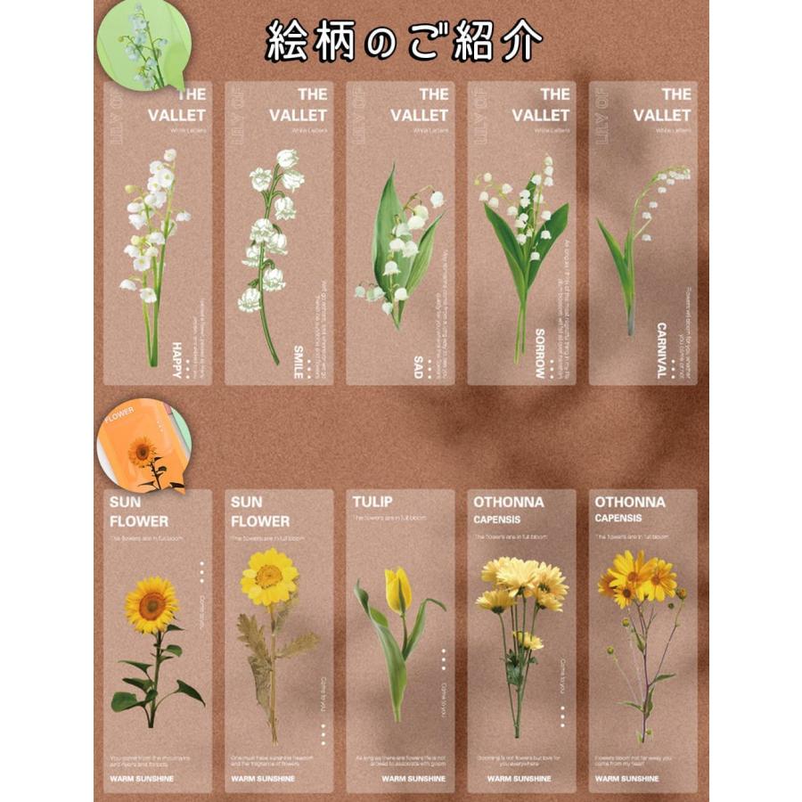 しおり ブックマーク25枚セット 押し花 透明 クリア 防水 英字