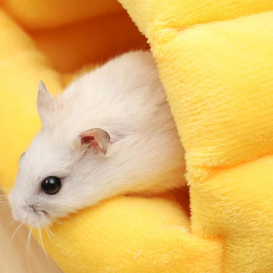 モルモット フェレット デグー チンチラ ペット 小動物 ハウス ベッド