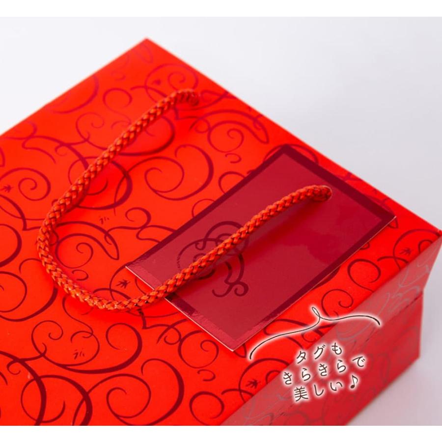 ラッピングギフトバッグ 手提げ袋 紙袋 5枚 ( レッド 和風×タグ 25.3