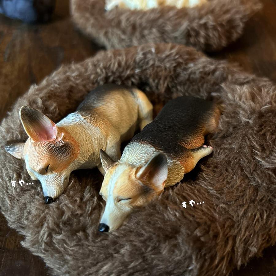 可愛い 遊犬 置物 二件揃い アンティーク(K-A201) 可愛い 遊犬 置物 二件揃い アンティーク(K-A201) 【公式通販】