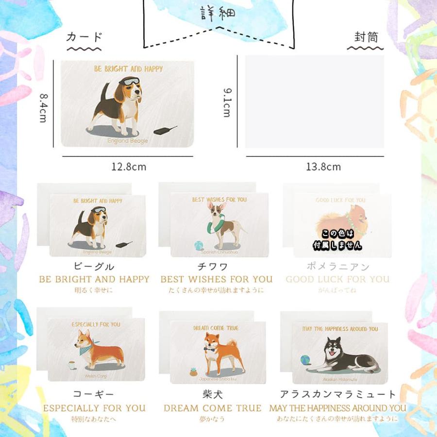 メッセージ カードグリーディング 犬 ドッグ 5種 セット 封筒付 12.8