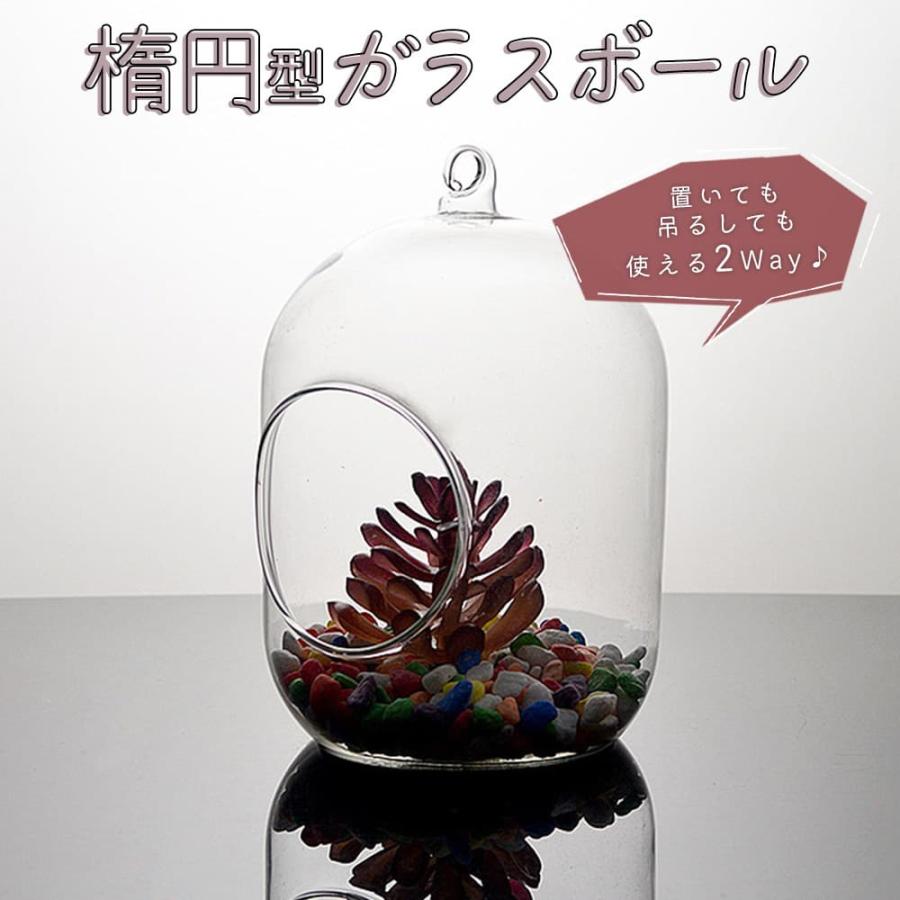 moin moinガラス ボール 花器 花瓶 フラワー ベース テラリウム 観葉