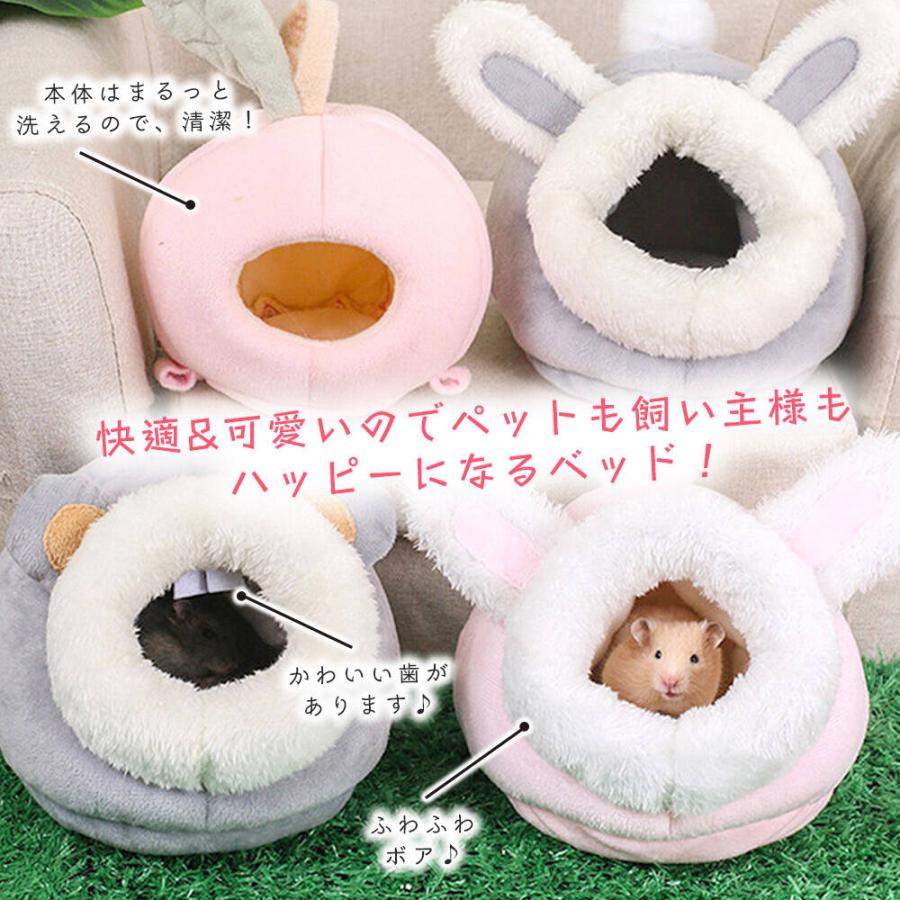 ゴールデン ハムスター キンクマ 鳥 インコ リス モモンガ ペット