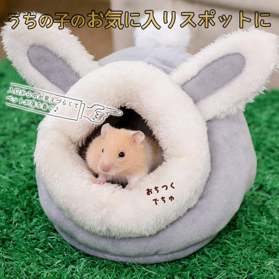 ゴールデン ハムスター キンクマ 鳥 インコ リス モモンガ ペット