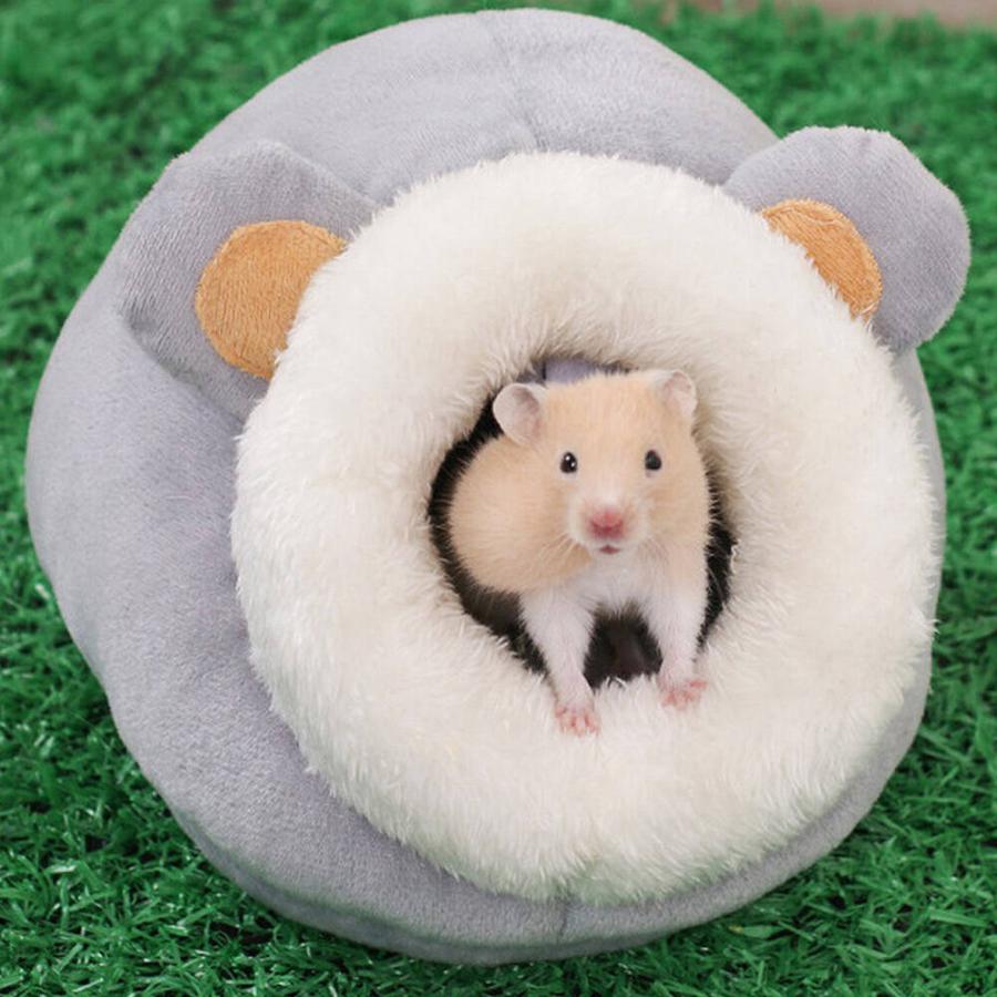 ゴールデン ハムスター キンクマ 鳥 インコ リス モモンガ