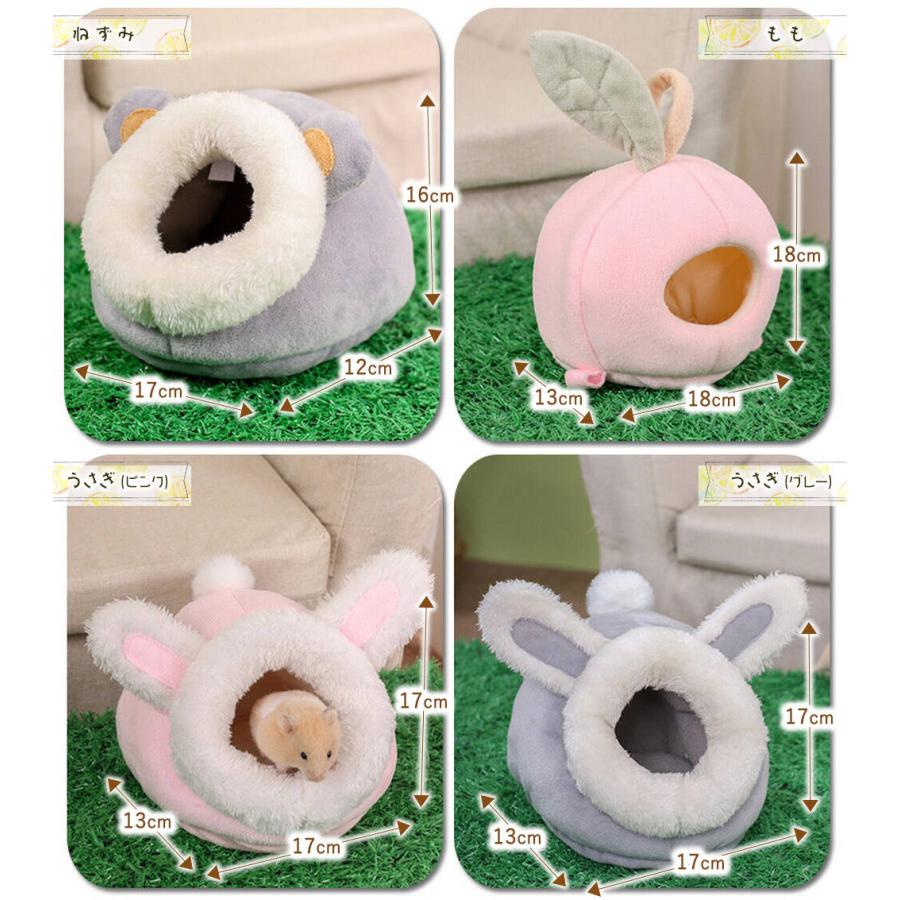 ゴールデン ハムスター キンクマ 鳥 インコ リス モモンガ ペット