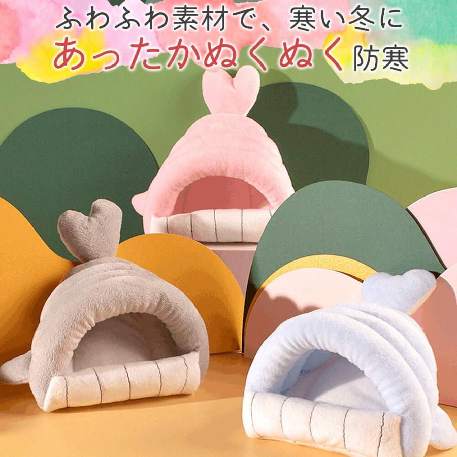 ハムスター 鳥 インコ リス フクロモモンガ ペット 小動物