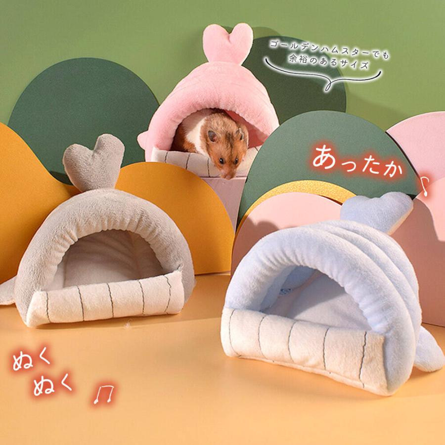ハムスター 鳥 インコ リス フクロモモンガ ペット 小動物 ハウス