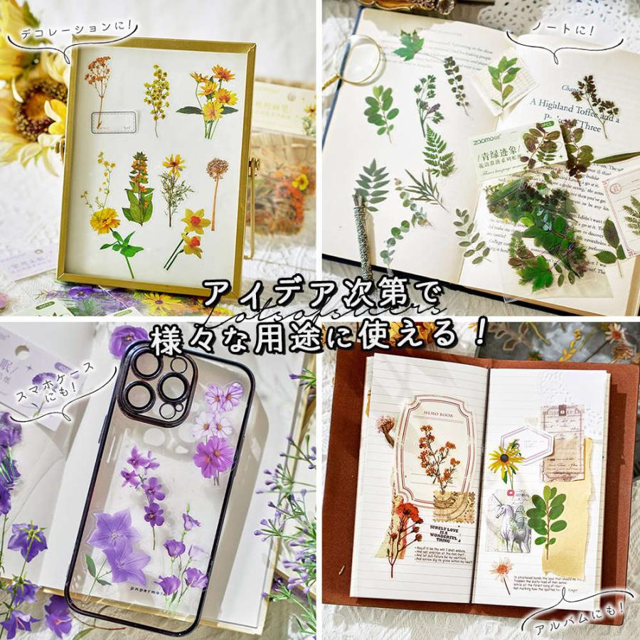 シール ステッカー花 大量 160種 320枚 セット 透明 リアル 押し花