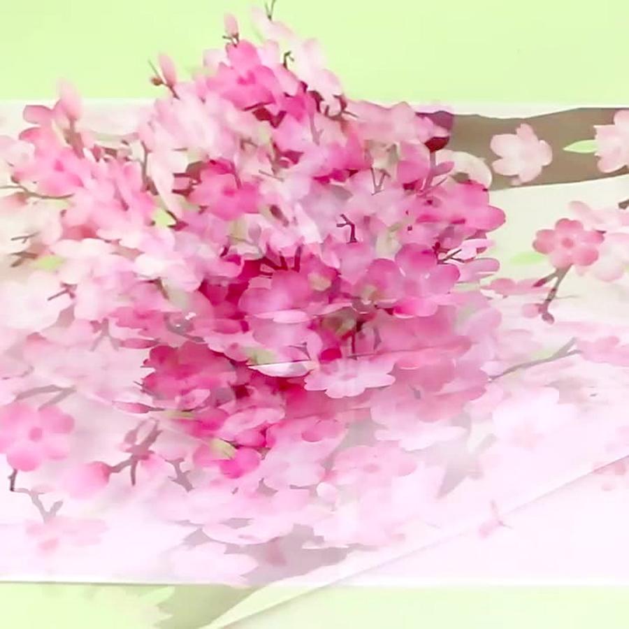 メッセージ カードグリーディングカード ポップアップ 桜 ピンク