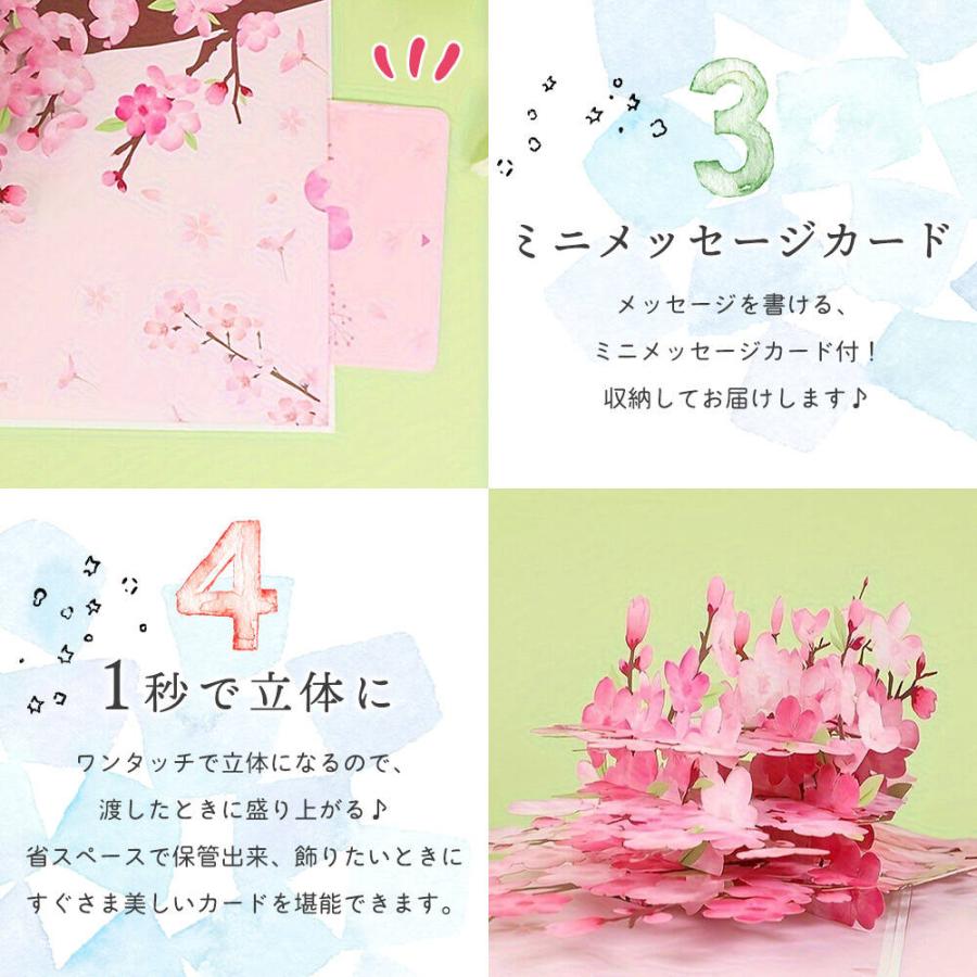 メッセージ カードグリーディングカード ポップアップ 桜 ピンク