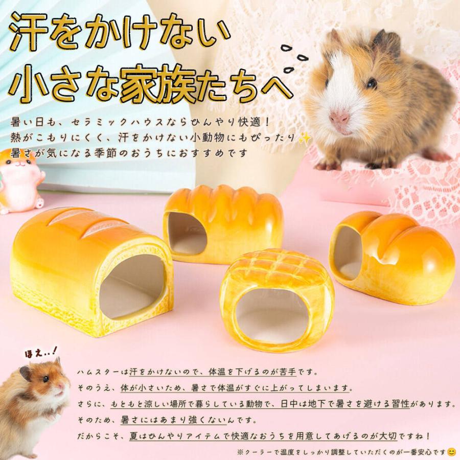 ゴールデン ハムスター キンクマ 鳥 インコ リス ペット 小動物 ハウス