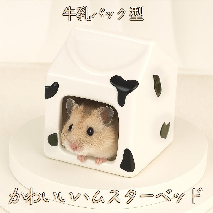ゴールデン ハムスター キンクマ 鳥 インコ リス ペット 小動物