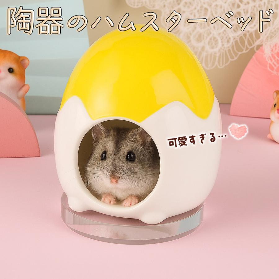 ゴールデン ハムスター キンクマ 鳥 インコ リス ペット 小動物
