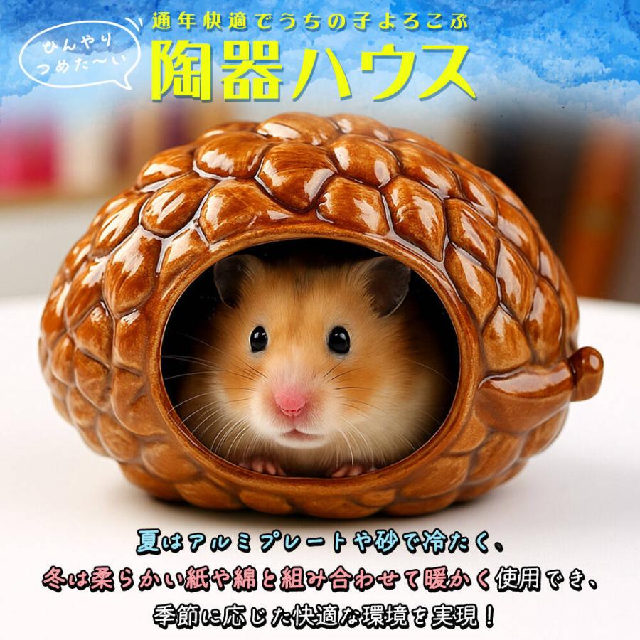 ゴールデン ハムスター キンクマ 鳥 インコ リス ペット 小動物 陶器