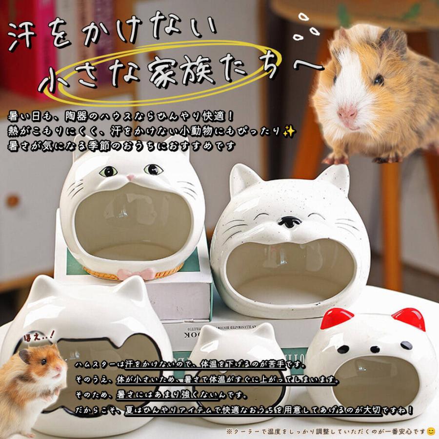ゴールデンハムスター 2505rh153.jpg