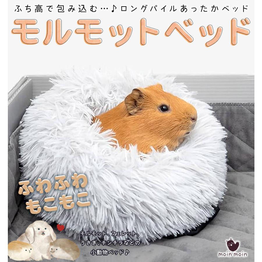 モルモット ハリネズミ チンチラ デグー フェレット プレーリードッグ 