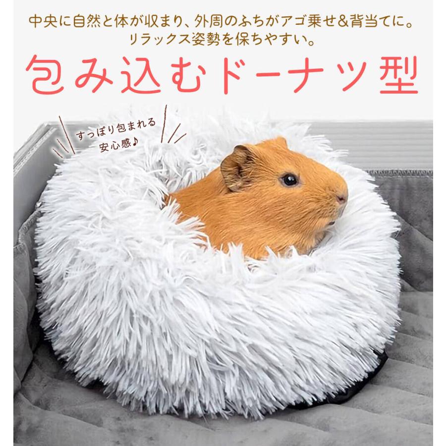 モルモット ハリネズミ チンチラ デグー フェレット プレーリードッグ