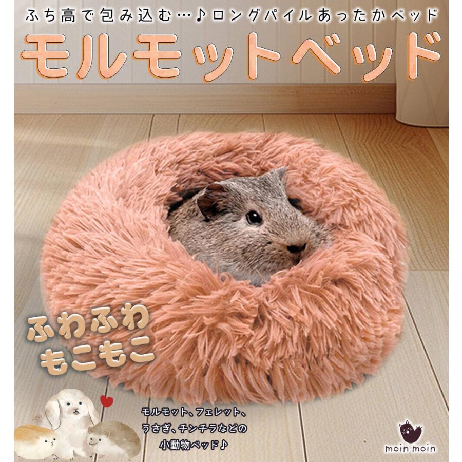 モルモット ハリネズミ チンチラ デグー フェレット プレーリードッグ 