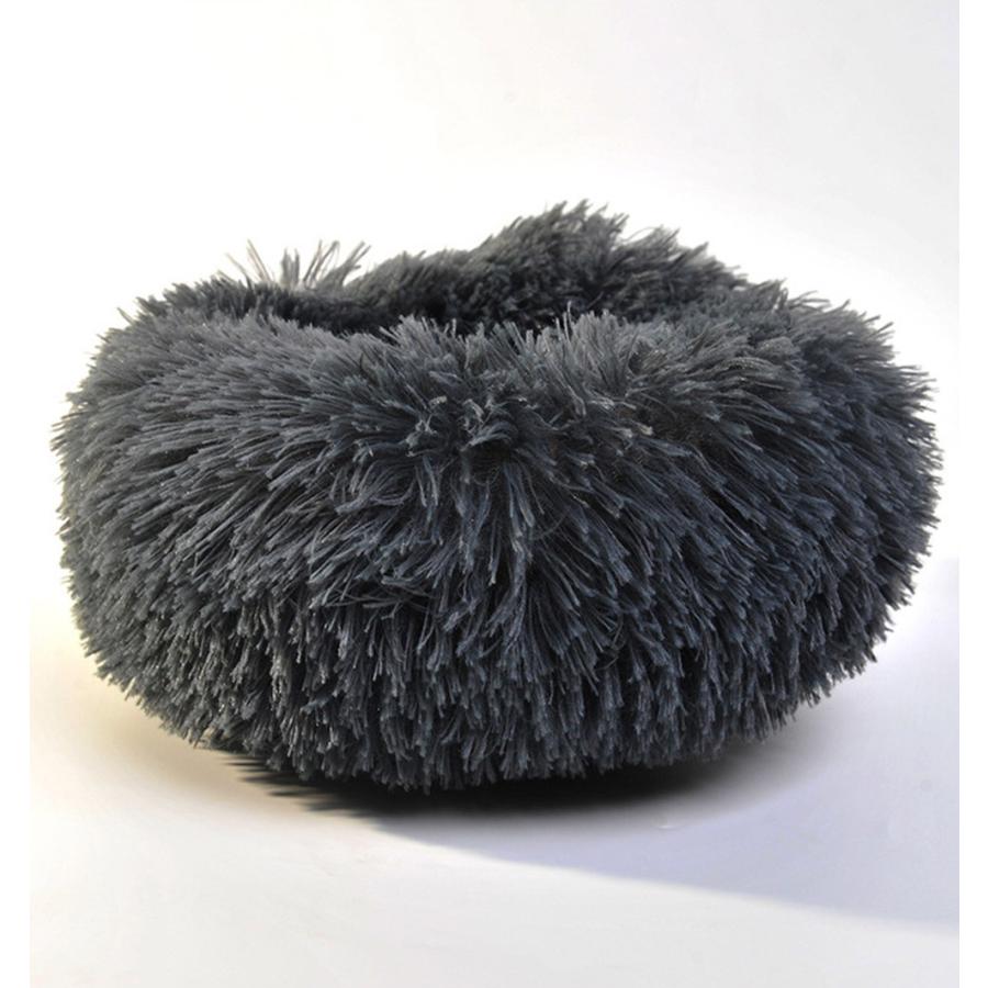 モルモット ハリネズミ チンチラ デグー フェレット プレーリードッグ