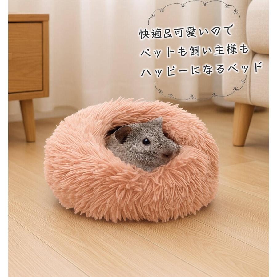 モルモット ハリネズミ チンチラ デグー フェレット プレーリードッグ